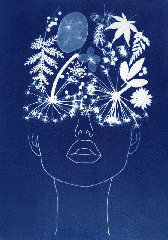 Cyanotype végétaux papier aquarelle