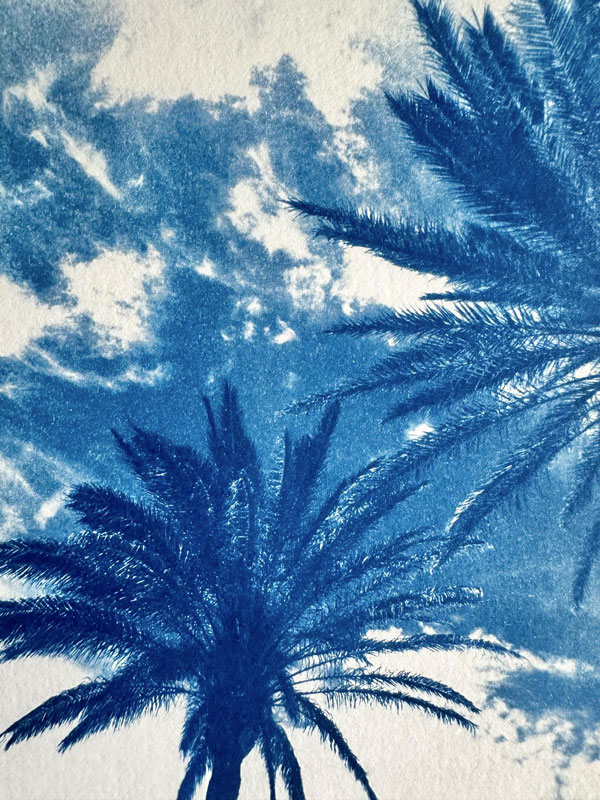 Cyanotype silhouette lumière